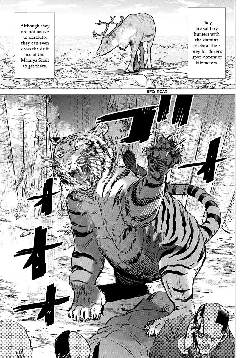 Golden Kamui Chapter 181 5